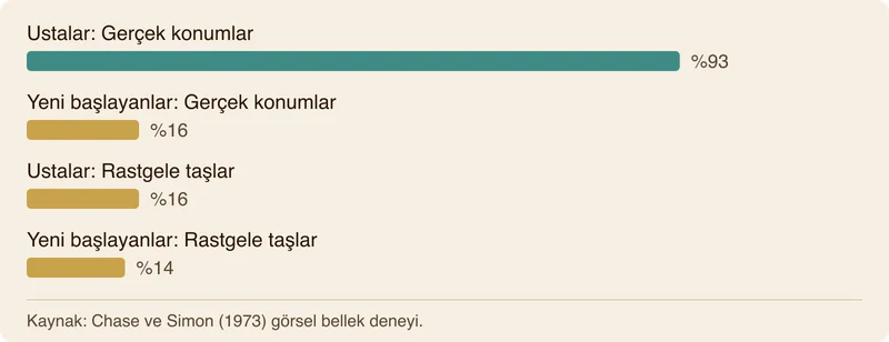 Ustalar ile yeni başlayanların beş saniyelik konum hatırlama doğruluğunu karşılaştıran sütun grafiği.